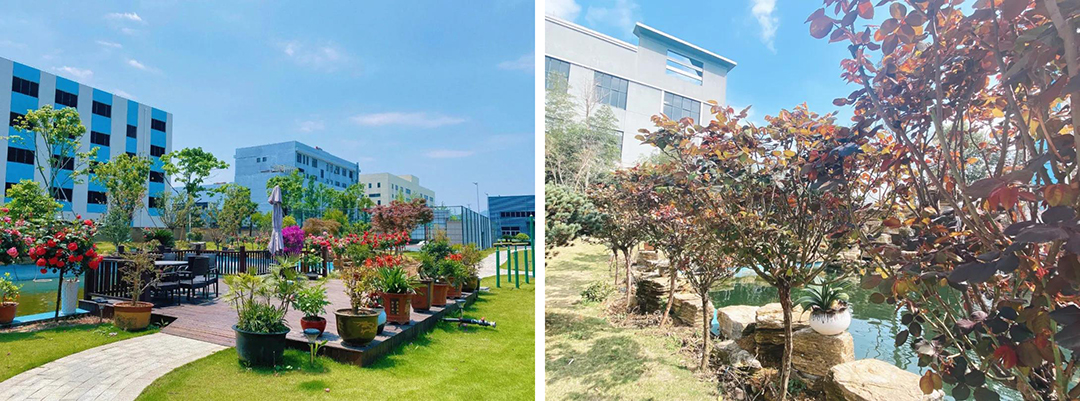 植樹(shù)節(jié)|守護(hù)綠色家園的秘密武器！