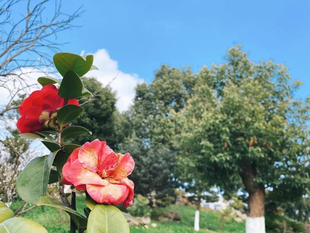 風(fēng)景這邊獨(dú)好!東大環(huán)境美景一覽,請(qǐng)查收