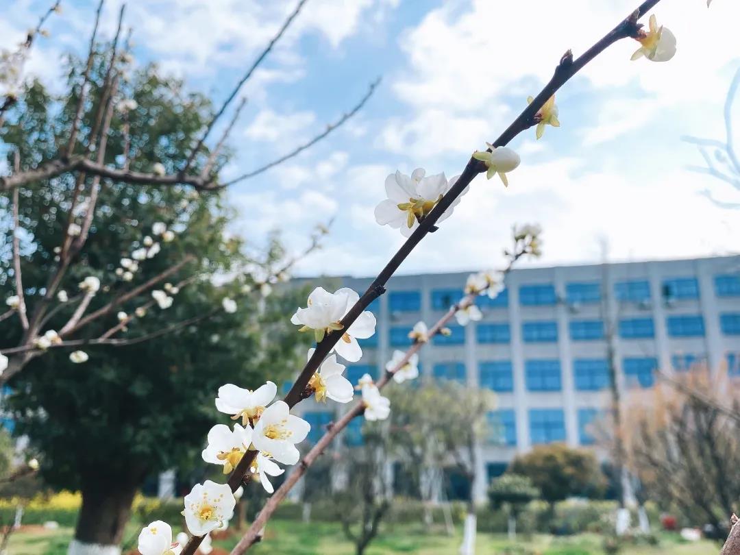 風(fēng)景這邊獨(dú)好!東大環(huán)境美景一覽,請(qǐng)查收